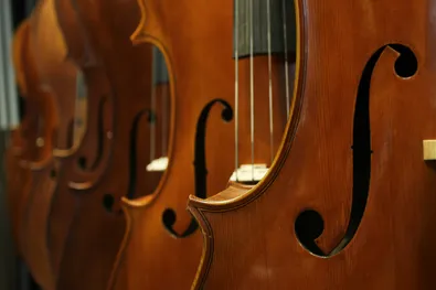 Violines